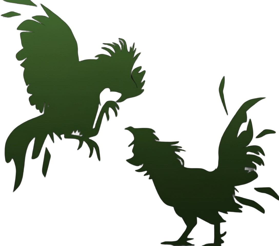 Cockfight